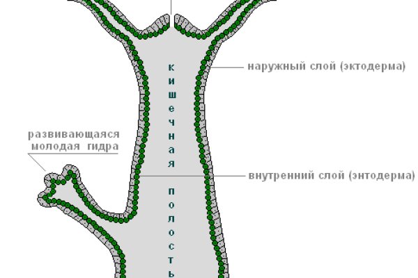 Как вывести деньги с kraken