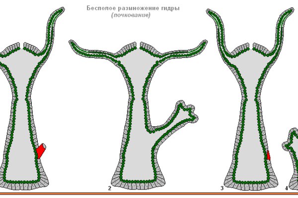 Кракен даркнет только через торг