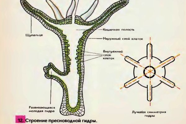 Как вывести деньги с кракена маркетплейс