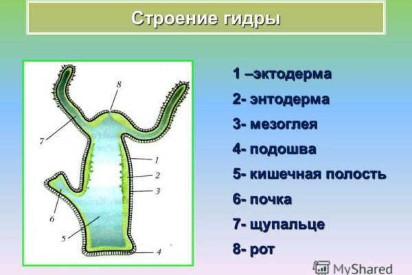 Кракен тор kraken014 com